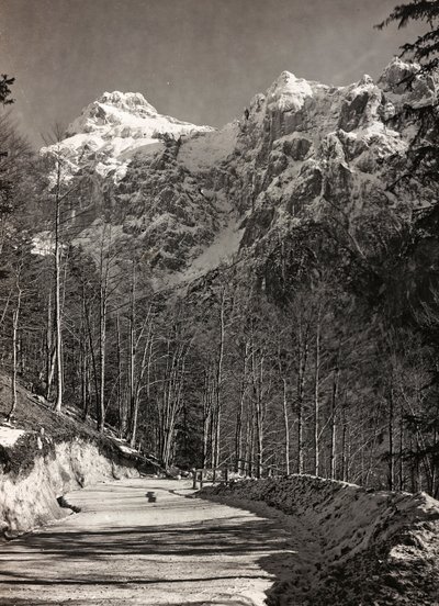 Album "Meine weltkriegs - Erinnerungen Front południowo-zachodni (Karyntia, Włochy, Południowy Tyrol) (Moja wojna światowa - wspomnienia Frontu Południowo-Zachodniego w Karyntii, Włochy, Trentino-Alto Adige) 31.03.1915-12.11. 1918 - Josef Zohles Wien ”: gó autorstwa Josef Zohles