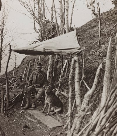 Album "Moja wojna światowa - wspomnienia Frontu Południowo-Zachodniego w Karyntii, Włochy, Trentino-Alto Adige) 31.03.1915-12.11.1918 - Josef Zohles Vienna": pies wojskowy pod namiotem ( autorstwa Josef Zohles