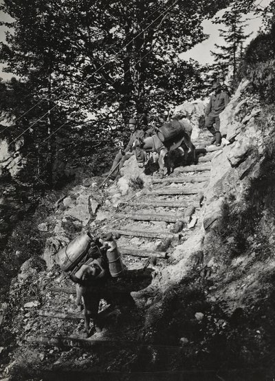 Album "Moja wojna światowa - wspomnienia Frontu Południowo-Zachodniego w Karyntii, Włochy, Trentino-Górna Adyga) 31.03.1915-12.11.1918 - Josef Zohles Wien": Muły wojskowe wzdłuż stromej autorstwa Josef Zohles