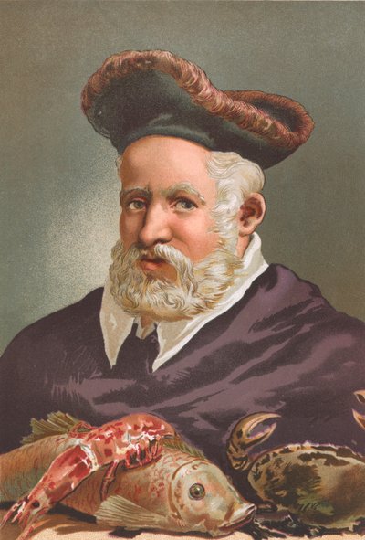 Гийом Ронделетполи autorstwa Josep or Jose Planella Coromina
