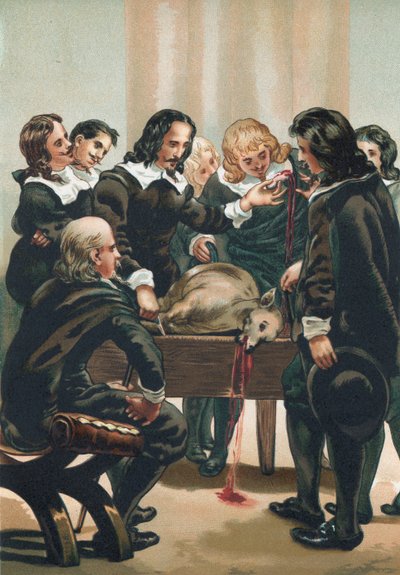 William Harvey demonstruje krążenie krwi autorstwa Josep or Jose Planella Coromina