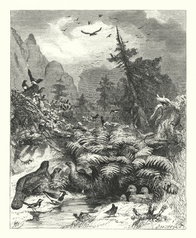 Poszukiwanie Boga (rycina) autorstwa Joseph (after) Wolf