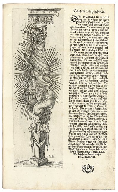 Kolumna ozdobiona Postacią Zwierzęcą, 1604 autorstwa Joseph Boillot