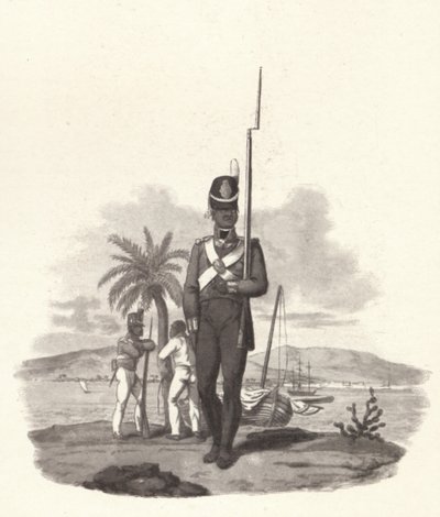 Szeregowiec 5. Pułku Zachodnioindyjskiego, c1812 1909 autorstwa Joseph Constantine Stadler