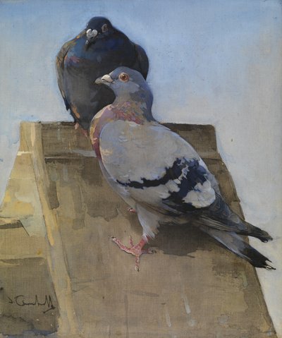 Gołębie na dachu (gwasz na płótnie) autorstwa Joseph Crawhall