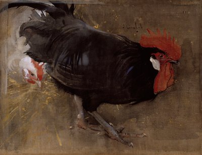Czarny Kogut (gwasz na płótnie) autorstwa Joseph Crawhall