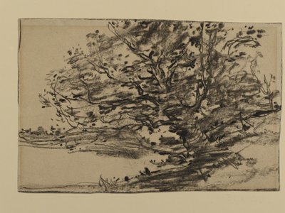 Studium Drzew, 1870 (grafit na papierze) autorstwa Joseph Frank Currier