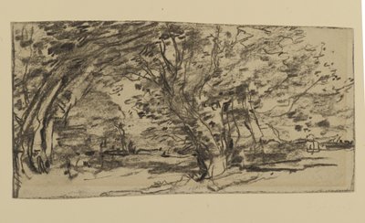 Studium Drzew, 1870 (grafit na papierze) autorstwa Joseph Frank Currier