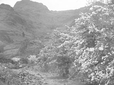 Rzeka z kwitnącymi drzewami na brzegu i Langdale Pike w tle autorstwa Joseph Hardman