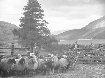 Dwóch pasterzy ze stadem owiec i Thirlmere za nimi autorstwa Joseph Hardman
