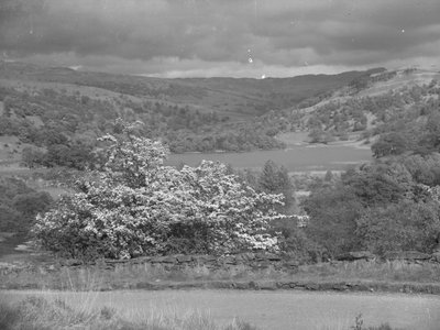 Widok na jezioro w Rydal autorstwa Joseph Hardman