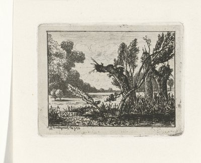 wierzby głóg autorstwa Joseph Hartogensis