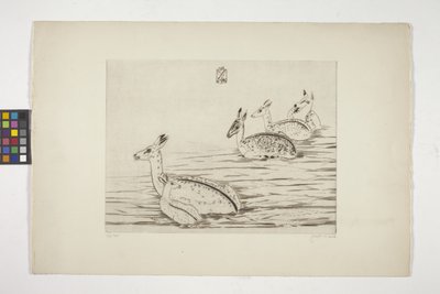 Cerfs Indochinois I (Indochinese Deer I) (grawerunek na kremowym papierze tkanym) autorstwa Joseph Hecht