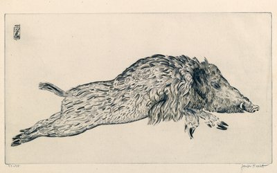 Dzik (Le Sanglier) (grawerowanie) autorstwa Joseph Hecht