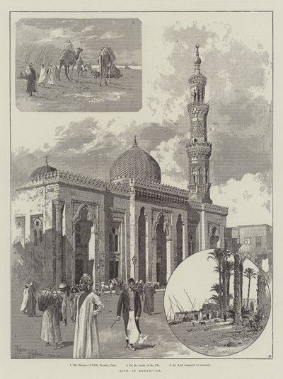 Życie w Egipcie autorstwa Joseph Holland Tringham