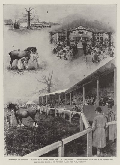 Sprzedaż koni Shire w stadninie księcia Walii w Wolferton autorstwa Joseph Holland Tringham