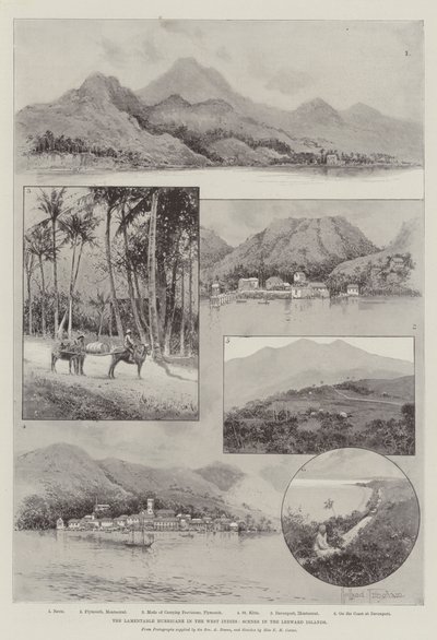 Opłakany w skutkach huragan w Indiach Zachodnich, Sceny z Wysp Zawietrznych autorstwa Joseph Holland Tringham
