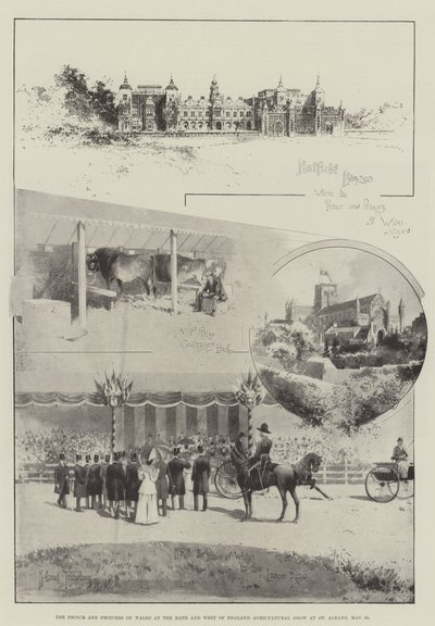 Książę i księżna Walii na wystawie rolniczej Bath i Zachodniej Anglii w St Albans, 29 maja autorstwa Joseph Holland Tringham