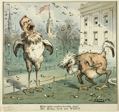 Kik-kik-cock-a-doodle doo! Panie Kelly, jak się masz, od Pucka autorstwa Joseph Keppler