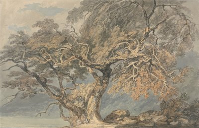 Wielkie drzewo autorstwa Joseph Mallord William Turner