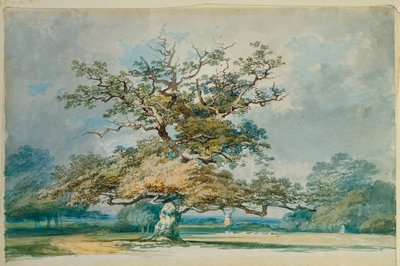 Krajobraz ze starym dębem autorstwa Joseph Mallord William Turner