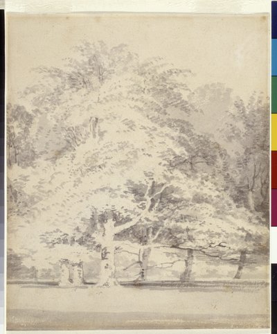 Buk (szary tusz rozmywa się po ołówku na białym papierze) autorstwa Joseph Mallord William Turner