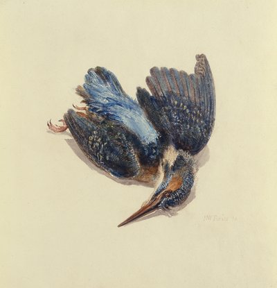 Zimorodek, z Księgi ptaków Farnley, ok. 1816 (pióro i atrament oraz akwarela na papierze) autorstwa Joseph Mallord William Turner