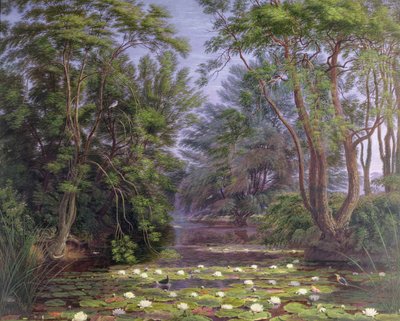 Lilie wodne z rzeki Cherwell, 1851 autorstwa Joseph Mallord William Turner
