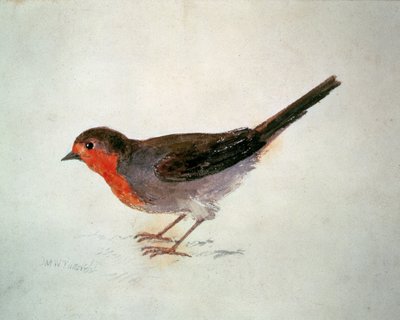 Robin, z Księgi ptaków Farnley, ok. 1816 (ołówek i akwarela na papierze) autorstwa Joseph Mallord William Turner
