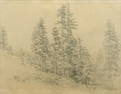 Cenny ząb autorstwa Joseph Martin Höger