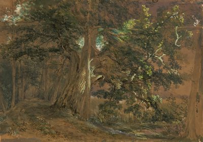 Wnętrze lasu w pobliżu Lundenburga (grupa klonowa nad górskim jeziorem) autorstwa Joseph Martin Höger