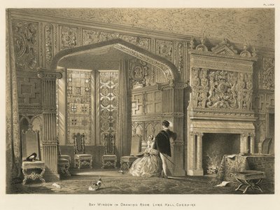 Okno wykuszowe w sali rysunkowej, Lyme Hall, Cheshire autorstwa Joseph Nash