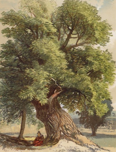 Old Chestnut (kolorowa litografia) autorstwa Joseph Needham