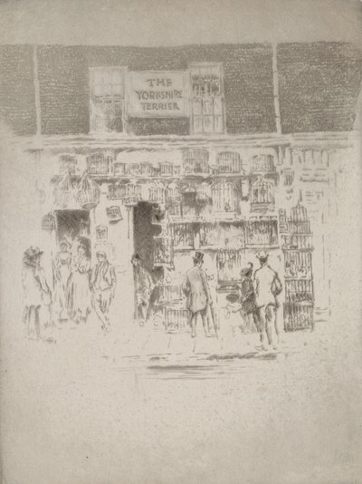 Yorkshire terier, 1903. autorstwa Joseph Pennell