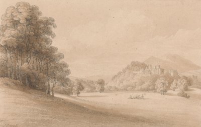 Zamek Dunster, Somerset: Pokazuje zamek w oddali autorstwa Joseph Powell