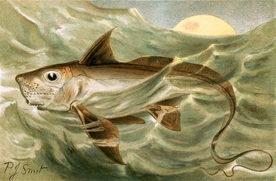 Chimera autorstwa Joseph Smit