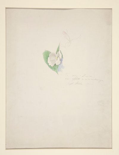Kwiat autorstwa Joseph Stella