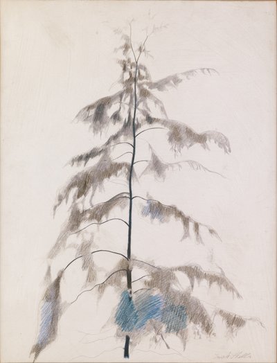 Sosna autorstwa Joseph Stella