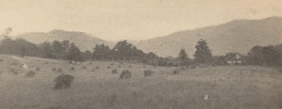Krajobraz z drzewami i górami, ok. 1900 (zdjęcie) autorstwa Joseph T. Keiley
