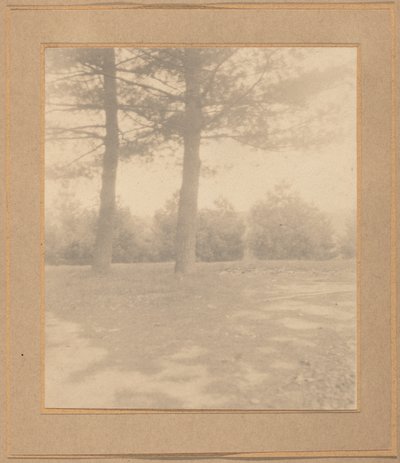 Krajobraz z drzewami, ok. 1900. autorstwa Joseph Turner Keiley