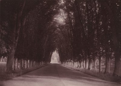 Podjazd, Château de Grand-Vaux, Savigny-sur-Orge, dom rodzinny Vigier, ok. 1855 r. (zdjęcie) autorstwa Joseph Vigier