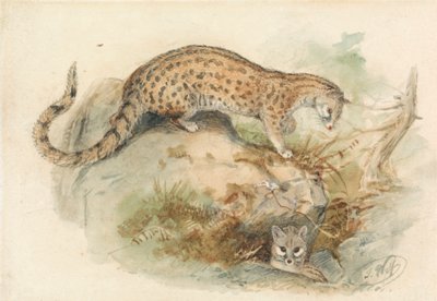 jeźdźcy autorstwa Joseph Wolf