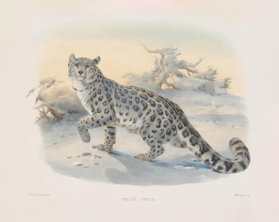  autorstwa Joseph Wolf