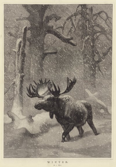 Zima autorstwa Joseph Wolf