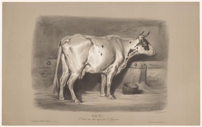 Krowa w stajni Vache (tytuł na obiekcie) Badania na zwierzętach w dwóch rodzajach kredy (tytuł serii) Etiuda aux deux kredki par Z. Gengembre (tytuł serii na obiekcie) autorstwa Joseph Zephyris Gengembre