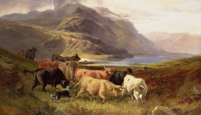 Bydło Highland z Collie autorstwa Joseph and Adam, Joseph Denovan Adam