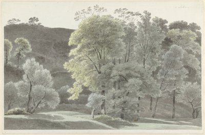 Drzewa wokół Subiaco autorstwa Josephus Augustus Knip