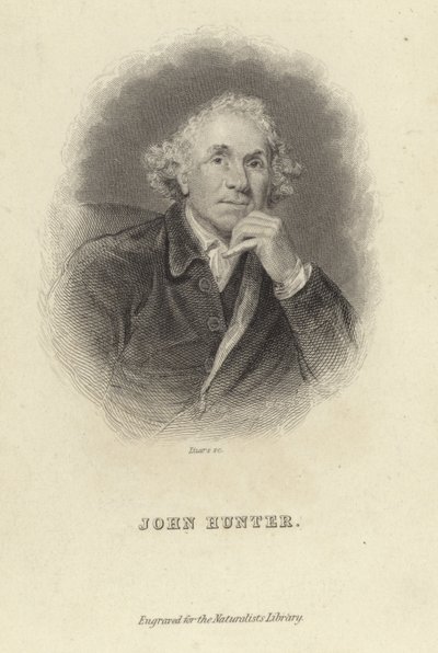 John Hunter autorstwa Joshua Reynolds