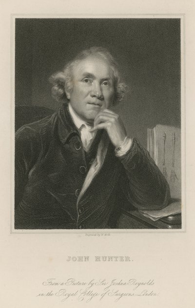 John Hunter autorstwa Joshua Reynolds
