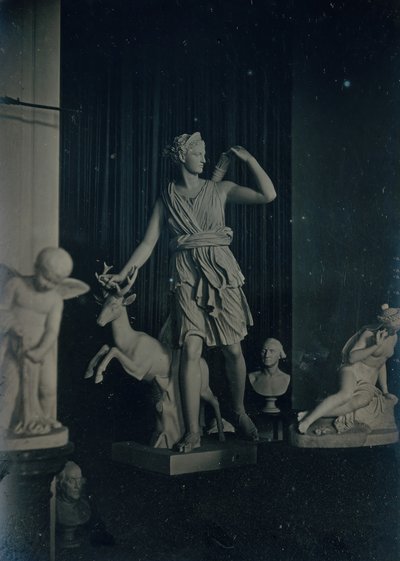 Galeria Rzeźby, Boston Athenaeum, ca. 1855. Twórcy: Josiah Johnson Hawes, Albert Sands Southworth. autorstwa Josiah Johnson Hawes, Albert Sands Southworth